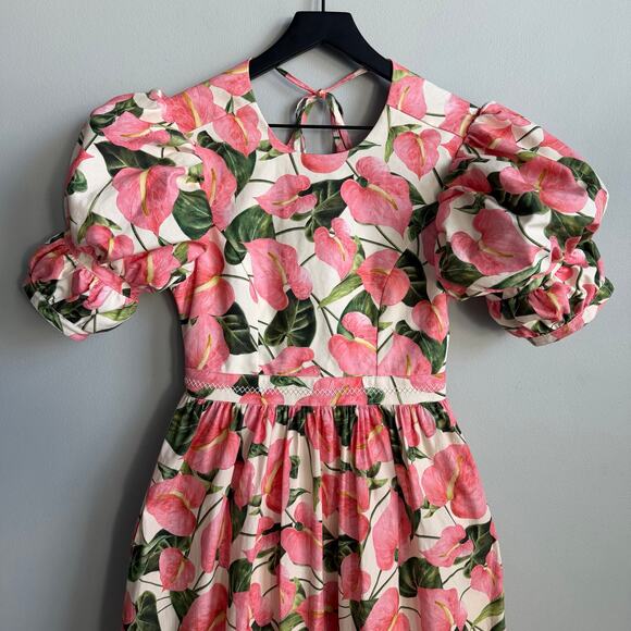 Agua by Agua Bendita Amapola Anturios Dress Size Small - Picture 4 of 15